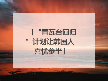 “青瓦台回归”计划让韩国人喜忧参半