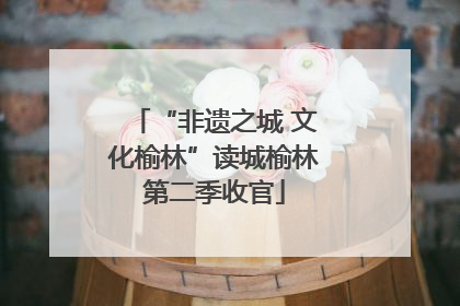 “非遗之城 文化榆林”读城榆林第二季收官