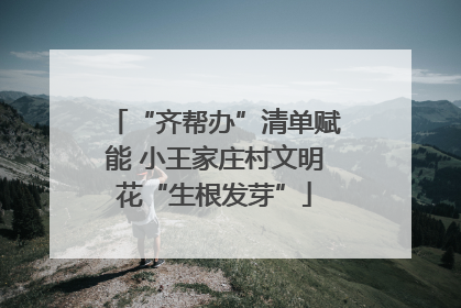“齐帮办”清单赋能 小王家庄村文明花“生根发芽”