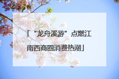 “龙舟溪游”点燃江南西商圈消费热潮