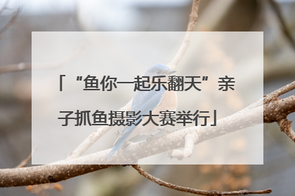 “鱼你一起乐翻天”亲子抓鱼摄影大赛举行