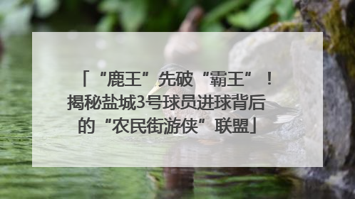 “鹿王”先破“霸王”！揭秘盐城3号球员进球背后的“农民街游侠”联盟