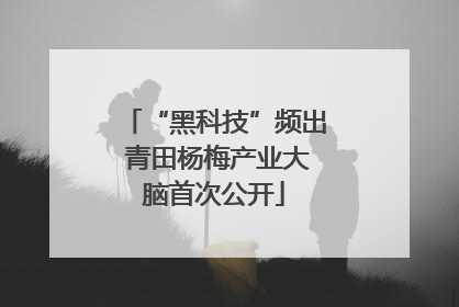 “黑科技”频出 青田杨梅产业大脑首次公开
