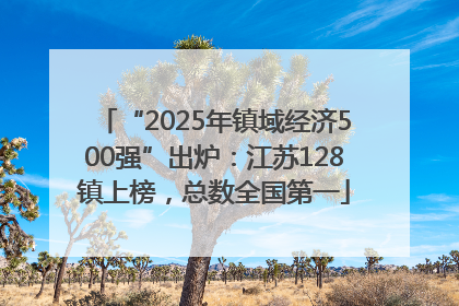 “2025年镇域经济500强”出炉：江苏128镇上榜，总数全国第一