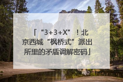 “3+3+X”！北京西城“枫桥式”派出所里的矛盾调解密码