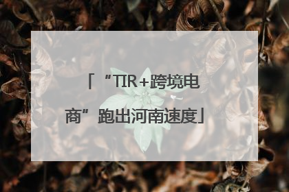 “TIR+跨境电商”跑出河南速度