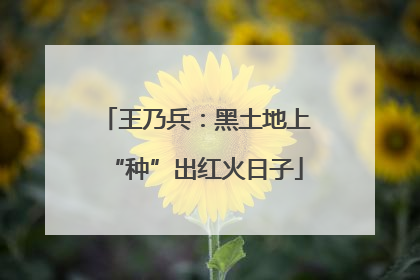 王乃兵：黑土地上“种”出红火日子