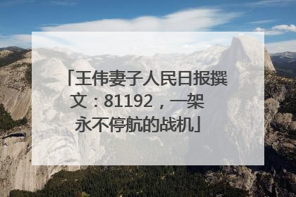 王伟妻子人民日报撰文：81192，一架永不停航的战机