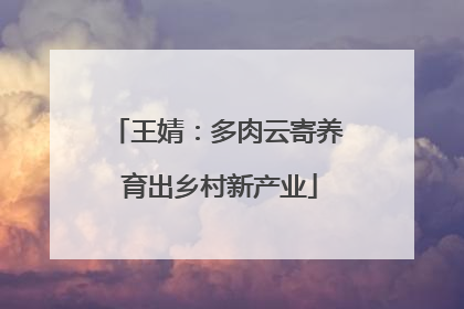 王婧：多肉云寄养 育出乡村新产业