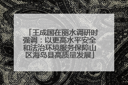 王成国在丽水调研时强调：以更高水平安全和法治环境服务保障山区海岛县高质量发展