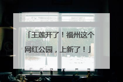 王莲开了！福州这个网红公园，上新了！