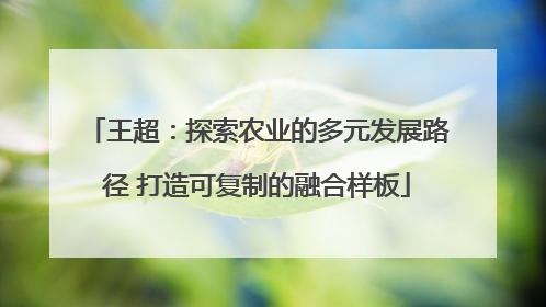 王超：探索农业的多元发展路径 打造可复制的融合样板