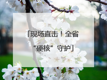 现场直击！全省“硬核”守护