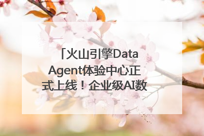 火山引擎Data Agent体验中心正式上线！企业级AI数据专家触手可及
