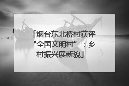 烟台东北桥村获评“全国文明村”：乡村振兴展新貌