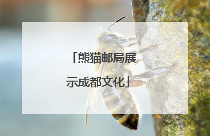 熊猫邮局展示成都文化
