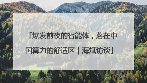 爆发前夜的智能体，落在中国算力的舒适区｜海斌访谈