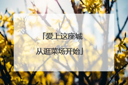爱上这座城 从逛菜场开始