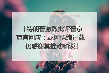 特朗普激烈批评普京 克宫回应：或因情绪过载 仍感谢其推动和谈