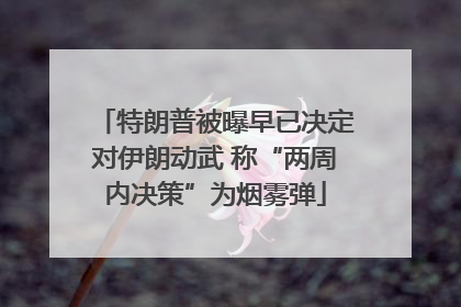 特朗普被曝早已决定对伊朗动武 称“两周内决策”为烟雾弹