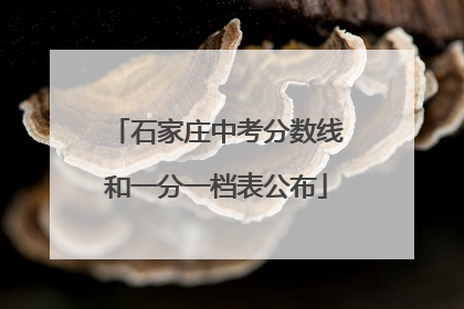 石家庄中考分数线和一分一档表公布