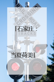 石家庄：当夏荷美