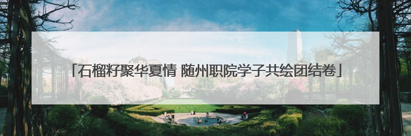 石榴籽聚华夏情 随州职院学子共绘团结卷