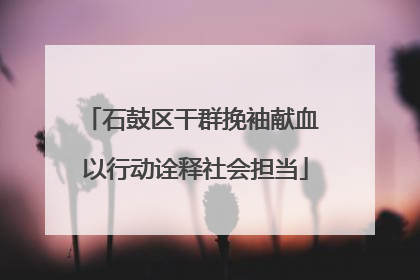 石鼓区干群挽袖献血 以行动诠释社会担当