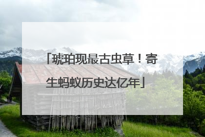 琥珀现最古虫草！寄生蚂蚁历史达亿年