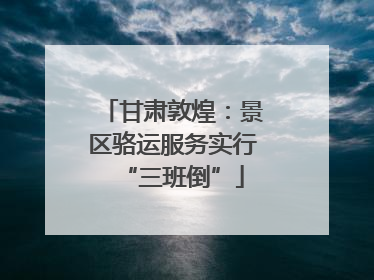 甘肃敦煌：景区骆运服务实行“三班倒”