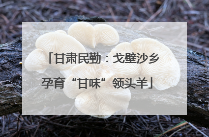 甘肃民勤：戈壁沙乡孕育“甘味”领头羊