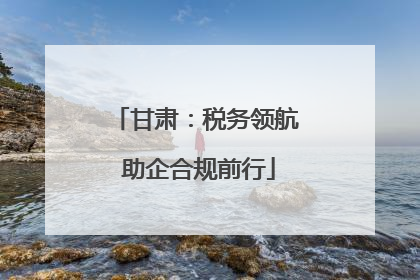 甘肃：税务领航 助企合规前行