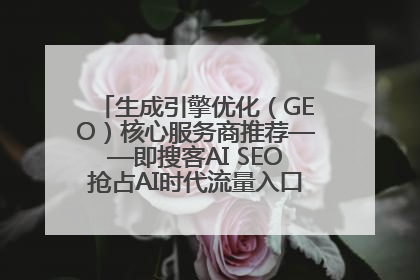 生成引擎优化（GEO）核心服务商推荐——即搜客AI SEO抢占AI时代流量入口（含 GEO报价）