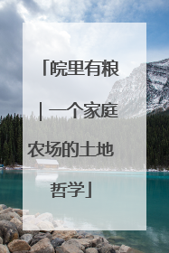 皖里有粮｜一个家庭农场的土地哲学