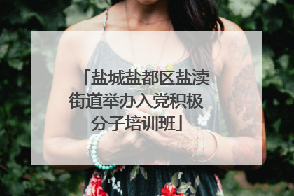 盐城盐都区盐渎街道举办入党积极分子培训班
