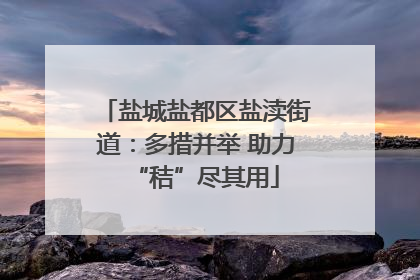 盐城盐都区盐渎街道：多措并举 助力“秸”尽其用