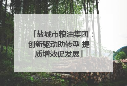 盐城市粮油集团：创新驱动助转型 提质增效促发展