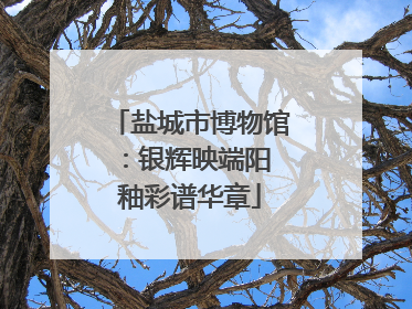 盐城市博物馆：银辉映端阳 釉彩谱华章