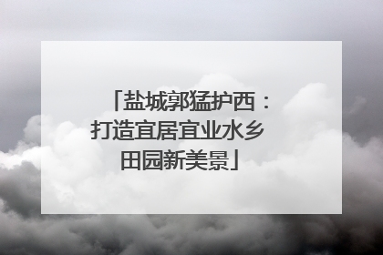 盐城郭猛护西：打造宜居宜业水乡田园新美景
