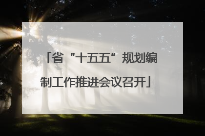 省“十五五”规划编制工作推进会议召开
