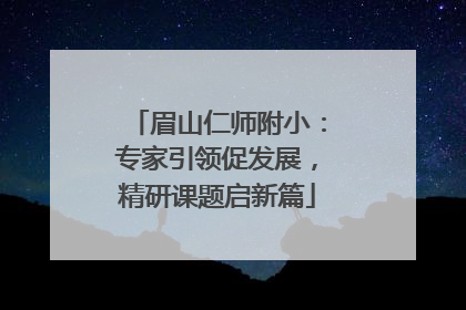 眉山仁师附小：专家引领促发展，精研课题启新篇