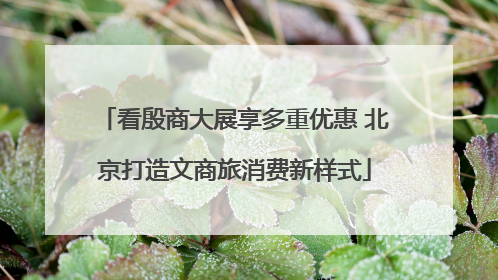 看殷商大展享多重优惠 北京打造文商旅消费新样式