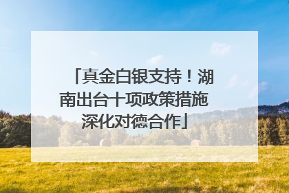真金白银支持！湖南出台十项政策措施深化对德合作