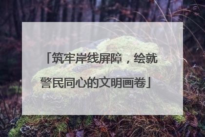 筑牢岸线屏障，绘就警民同心的文明画卷
