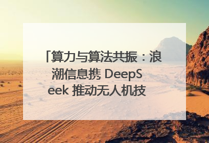 算力与算法共振：浪潮信息携 DeepSeek 推动无人机技术在舟山落地
