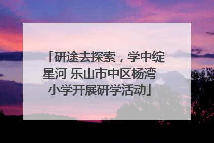 研途去探索，学中绽星河 乐山市中区杨湾小学开展研学活动
