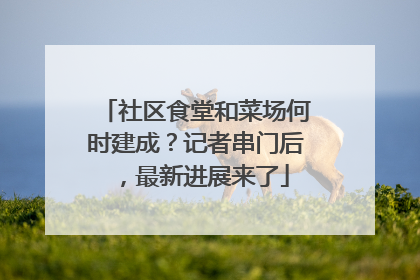 社区食堂和菜场何时建成？记者串门后，最新进展来了