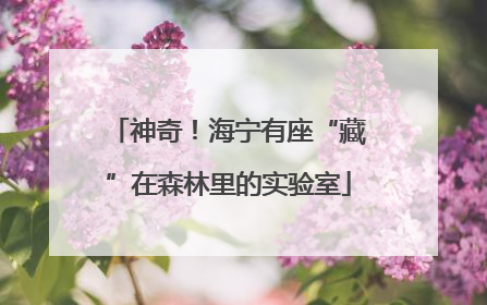 神奇！海宁有座“藏”在森林里的实验室