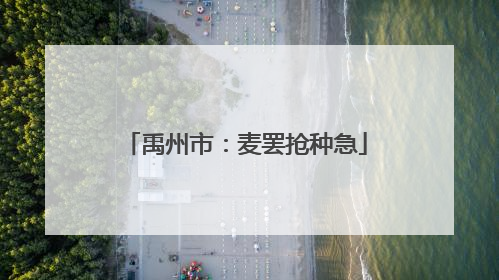 禹州市：麦罢抢种急