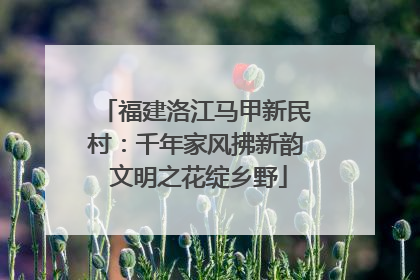 福建洛江马甲新民村：千年家风拂新韵 文明之花绽乡野